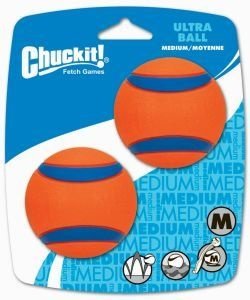 Chuckit Ultra Ball 2 Pack Medium 6.5cm 660048170013