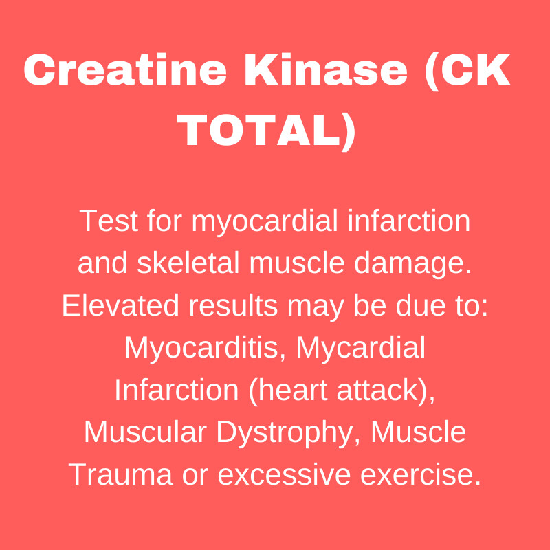 creatine-kinase-ck-total