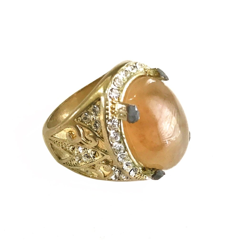 Agatized Fossil Coral Gemstone