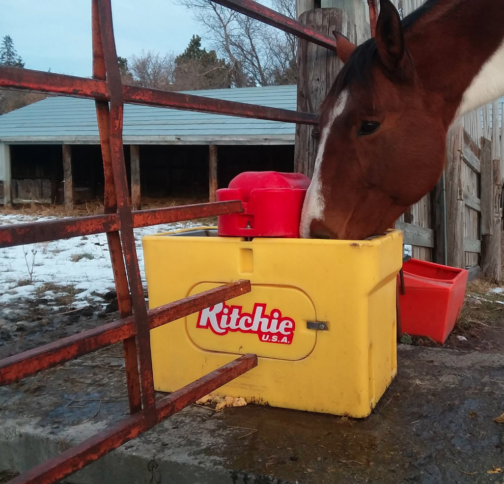 ANIMAL DRINKER RITCHIE OMNI FOUNT 1 AUTOMATIC LIVESTOCK WATERERCATTLE HORSE