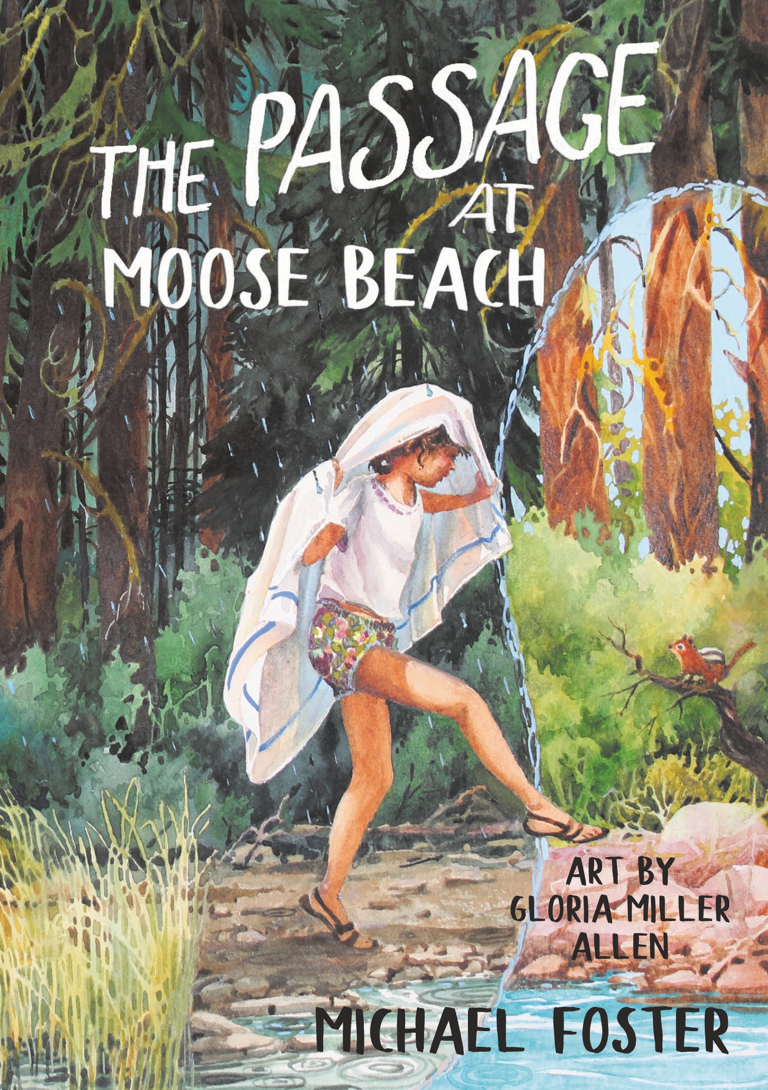 The Passage at Moose Beach (EBook)