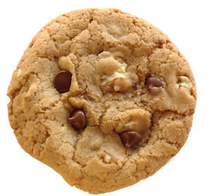 Bumzy's Classic Chocolate Chip with Walnuts 101