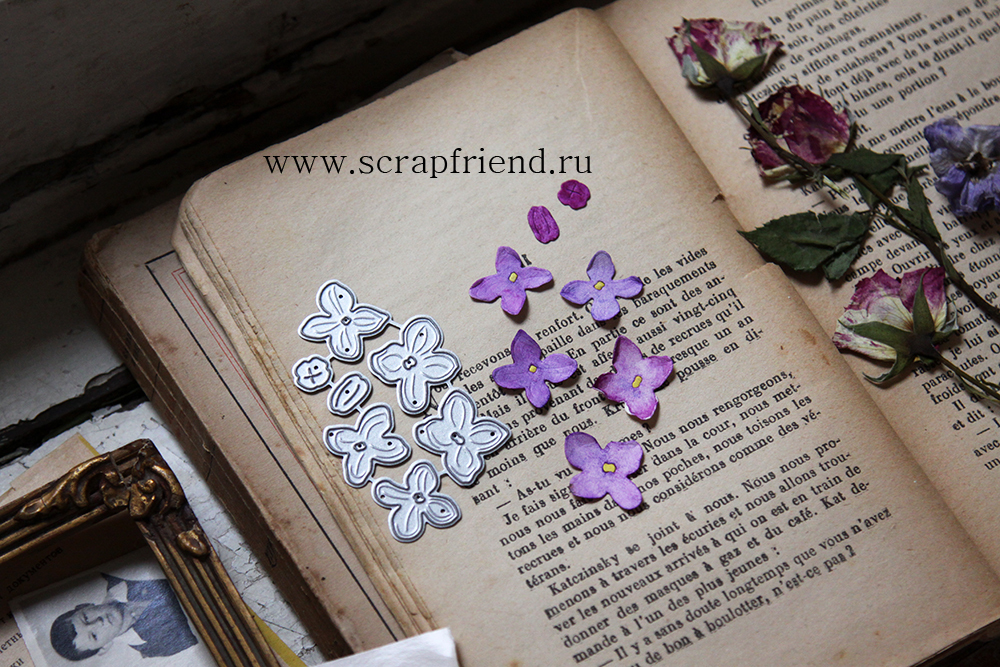 Набор ножей для вырубки Королевская сирень, Scrapfriend sf0151