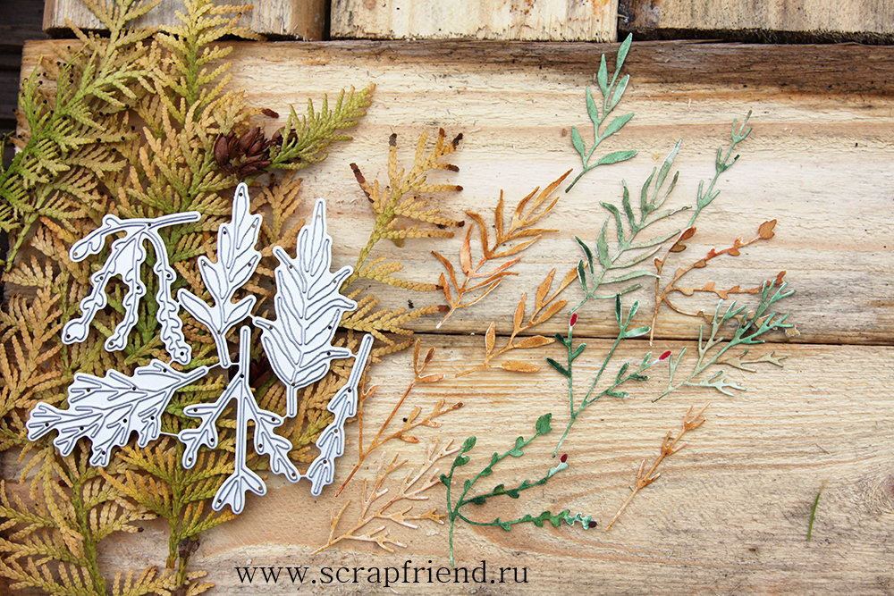 Набор ножей для вырубки Вивьен, 6 штук, Scrapfriend sf0123