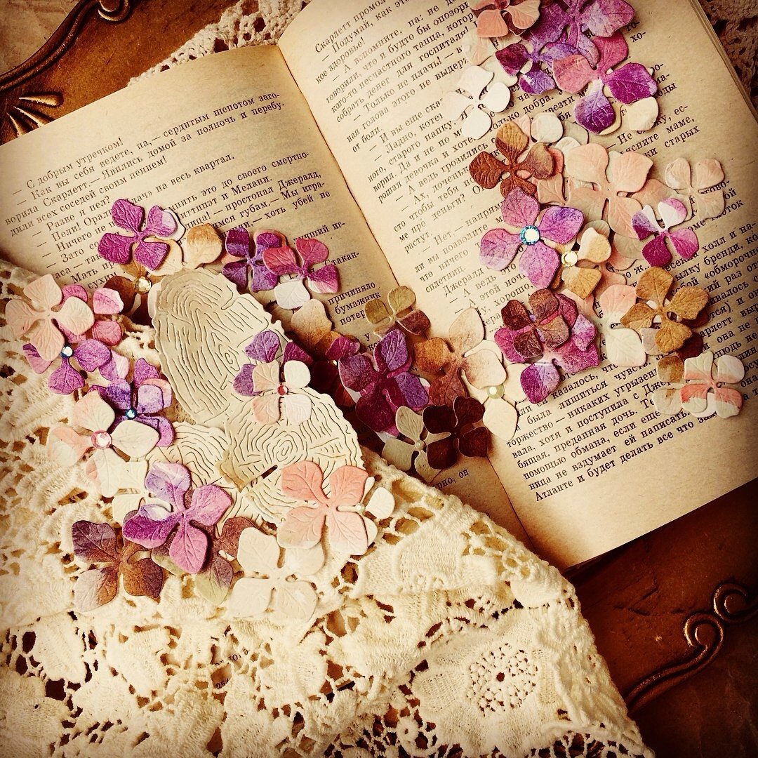 Автор изображения Татьяна Князева