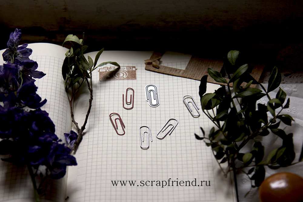 Автор изображения @carambolka_