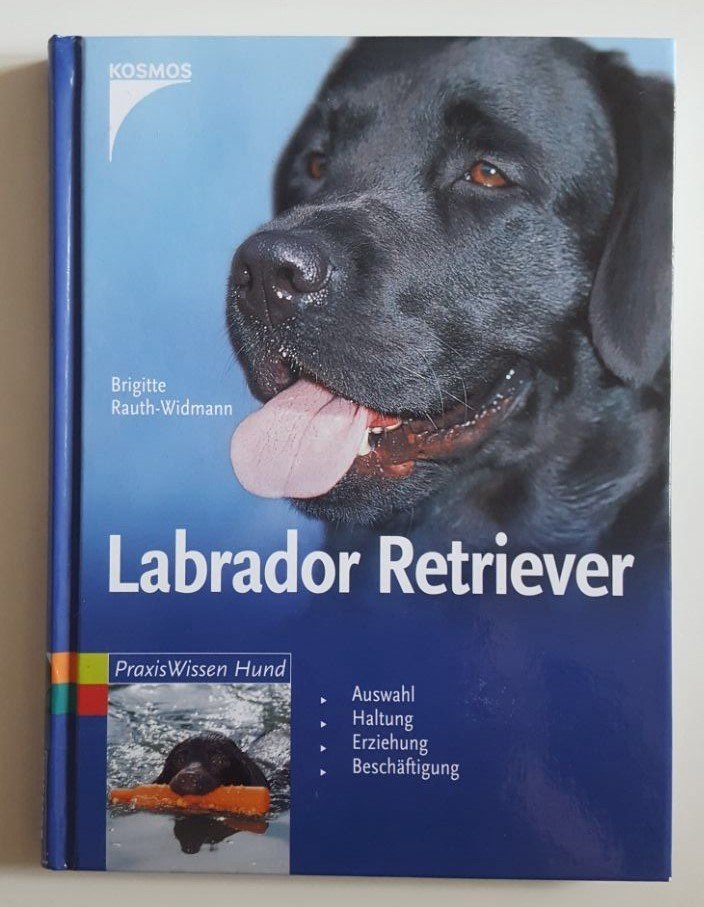 Labrador Retriever Kosmos 200