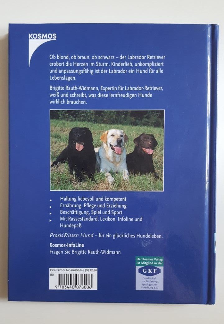 Labrador Retriever Kosmos