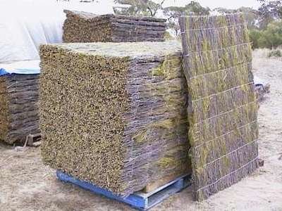 1700mm high x 1100mm wide x 48mm - in pallets of 20 panels - Adelaide