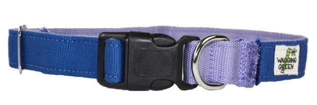 Blue / Purple
