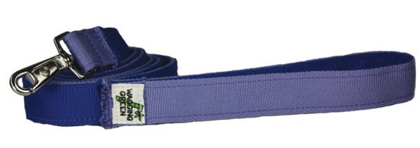 Blue / Purple