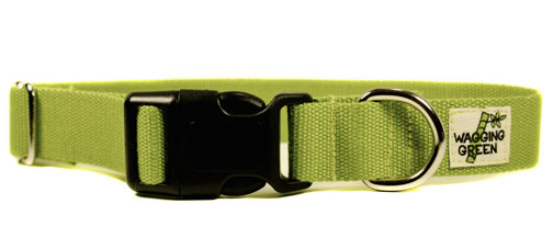 R Organic Bamboo Double Layer Dog Collar 00011