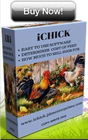 iCHICK PLANNER iCHICK PLANNER