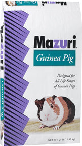 MAZ GUINEA PIG MAZ GUINEA PIG