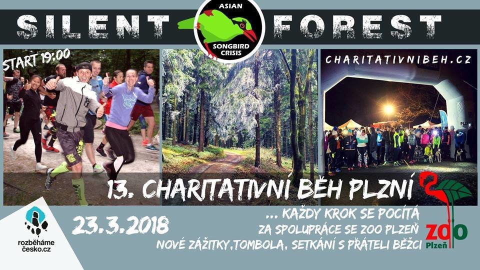 13. Charitativní běh Plzní 23. března (registrace) 00057