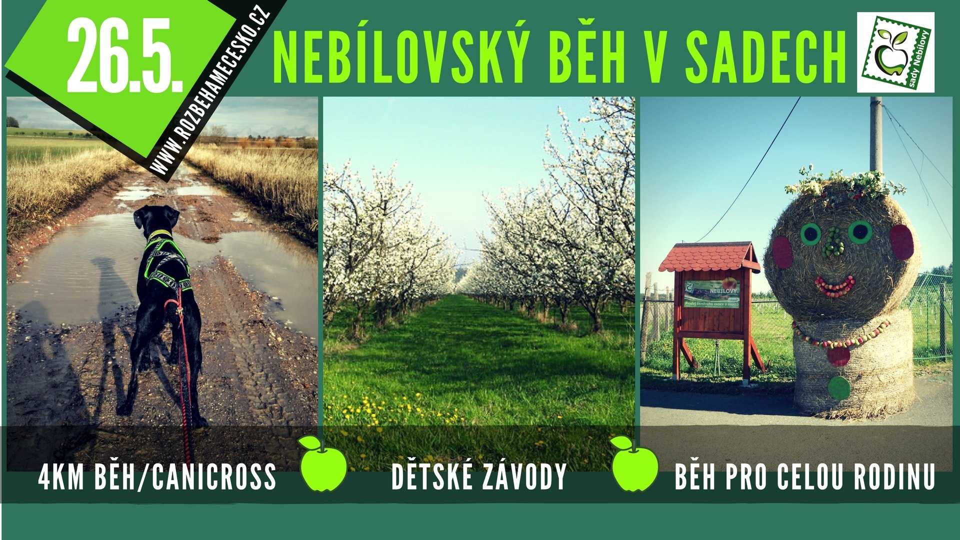 Nebílovský běh v sadech 00063