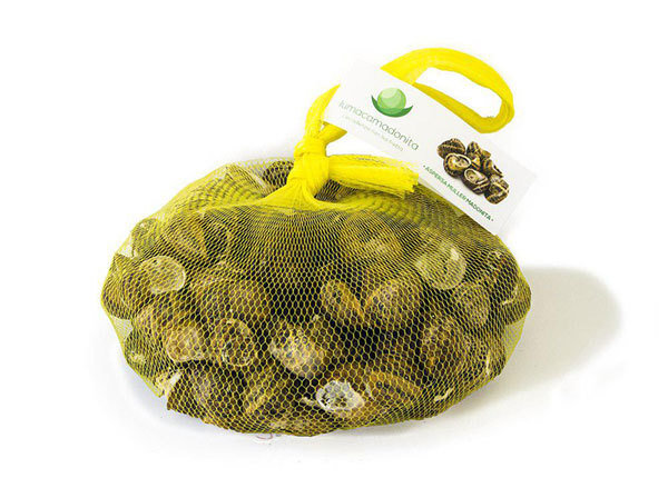 5,00 Kg Lumache Helix Aperta