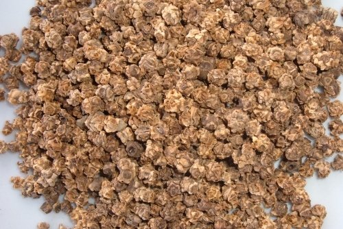 Sementi di Bietola selezionati 5 kg SEM
