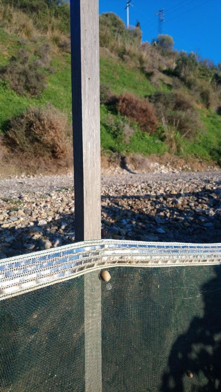 Palo in PVC per recinti Lumache (20 pz)