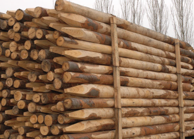 Palo in legno di castagno per recinti Lumache (20 pz) PL125