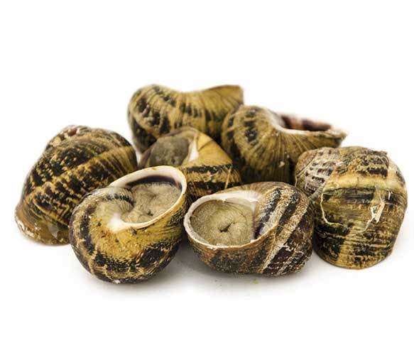 5,00 Kg Lumache Helix Aspersa Muller LMUMULL