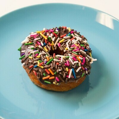 Dairy Free Chocolate Glaze with Sprinkles Donut