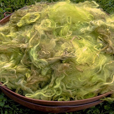 Hand-Dyed Suri Alpaca Fiber, 5 Inches, Wattle