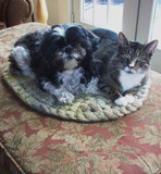 Alpaca Cat Toy Felting Kit