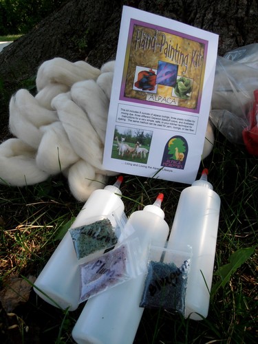 Roving Dye Kit AMDWS-0912