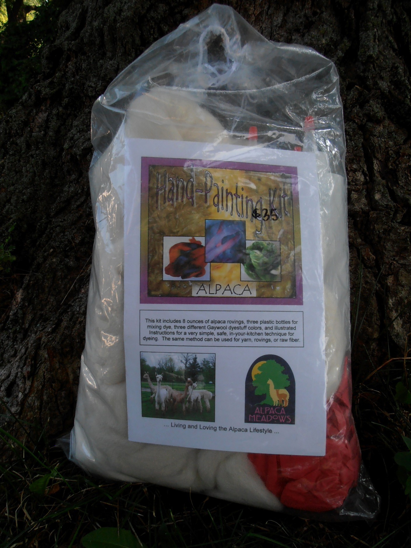Gaywool Dyes Hand-Painting Kit
