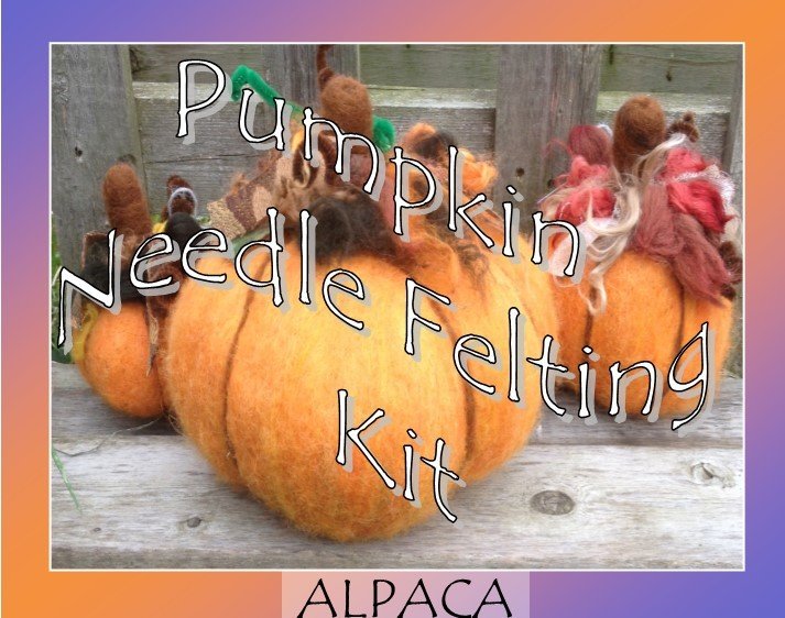 Pumpkin Needle Felting Kit 18133