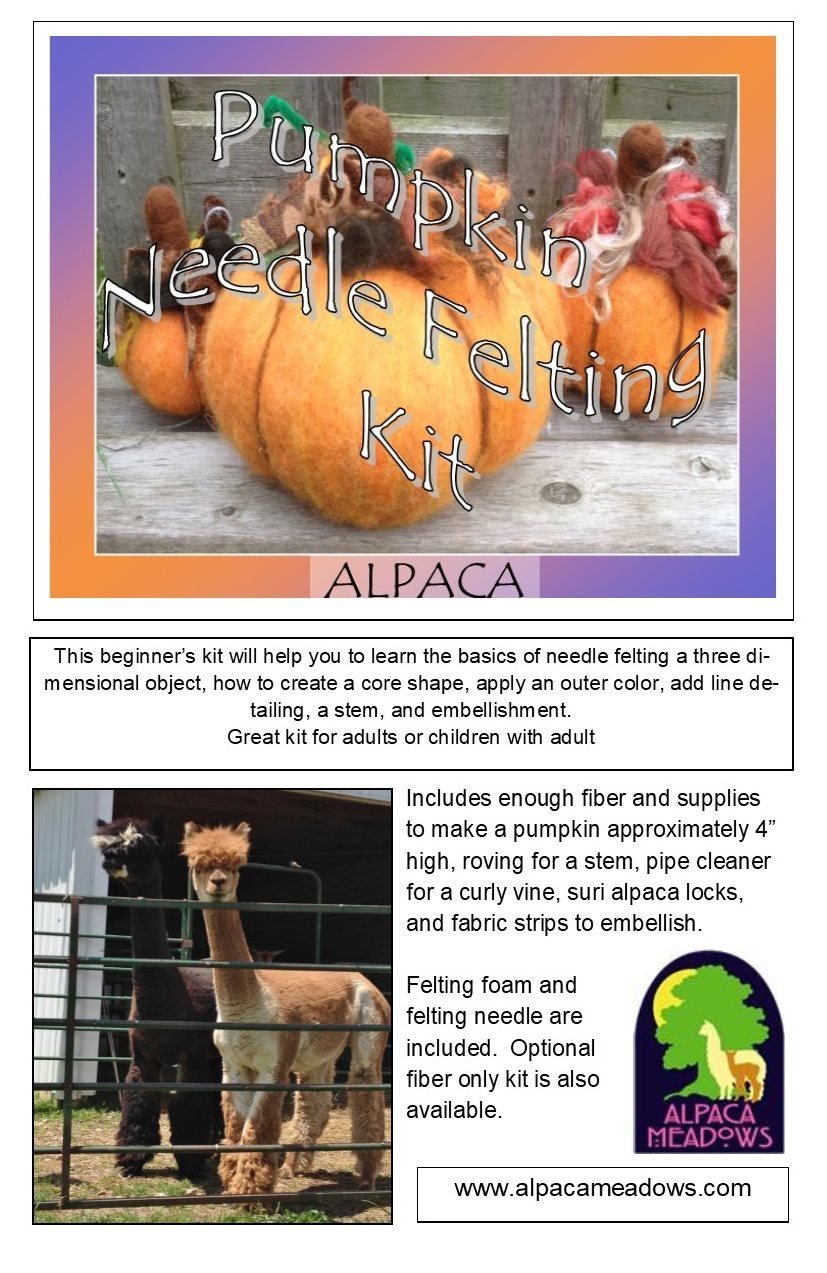 Pumpkin Needle Felting Kit
