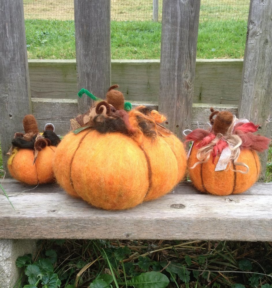 Pumpkin Needle Felting Class 17823