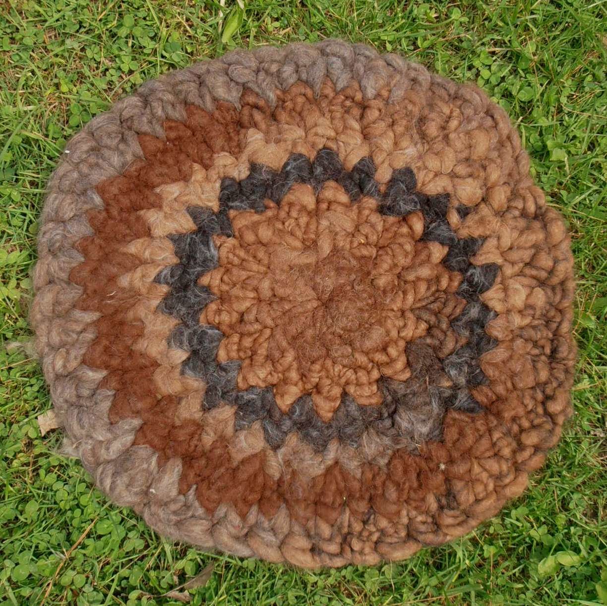 Rug Yarn Crochet Class