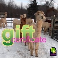 Gift Certificate AMDWS-051101