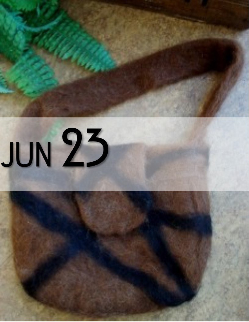 Purse Wet Felting Class 00083