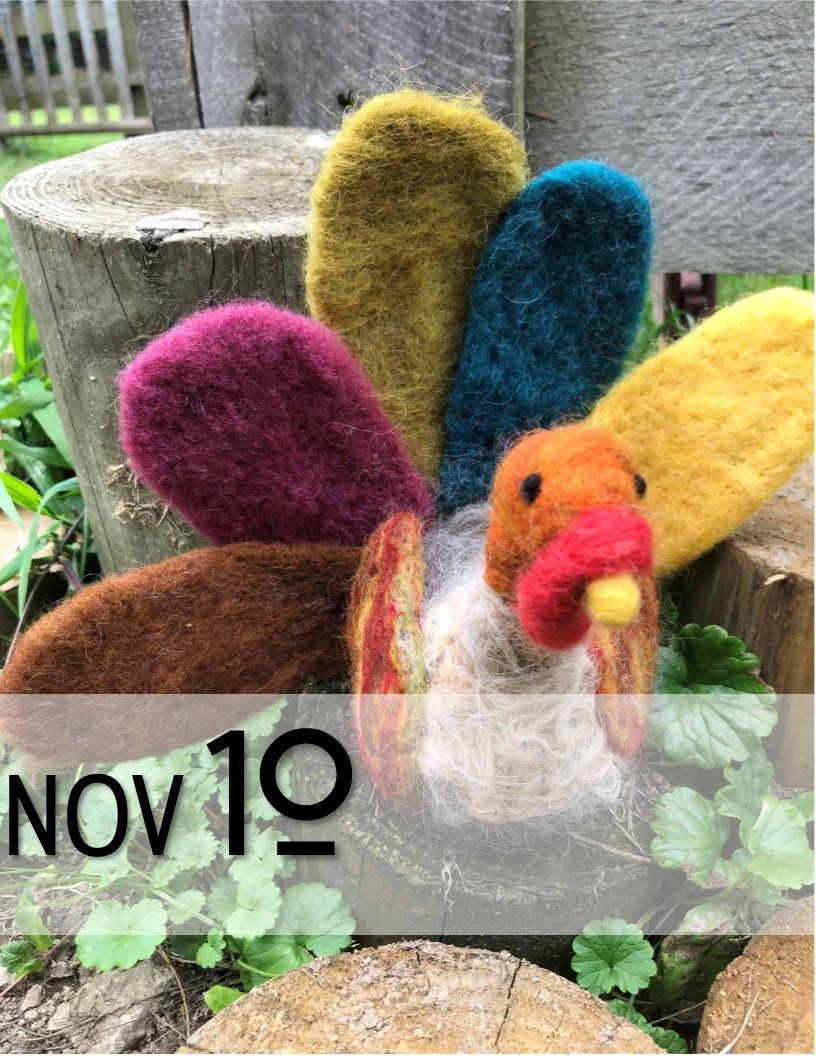 Turkey Needle Felting Class 18227