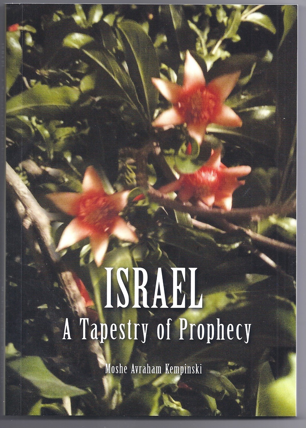 Israel: A Tapestry of Prophecy Israel: A Tapestry of Prophecy