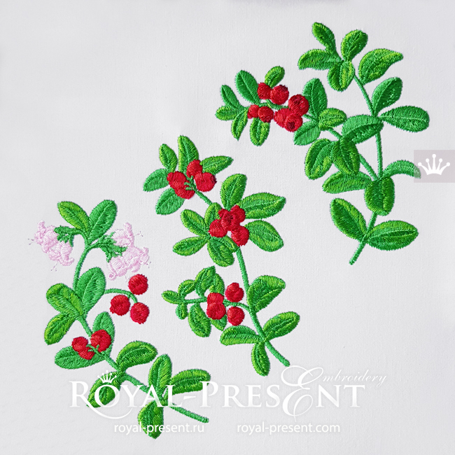 Lingonberry berries Machine Embroidery Designs - 3 sizes