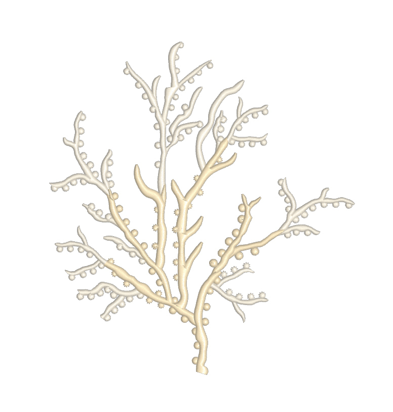 Set of Machine Embroidery Designs Corals