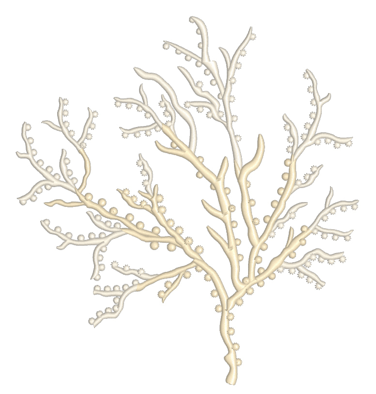 Set of Machine Embroidery Designs Corals