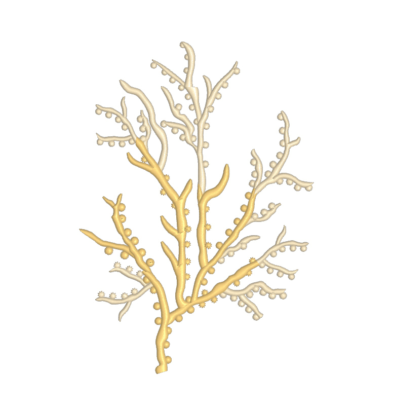 Set of Machine Embroidery Designs Corals