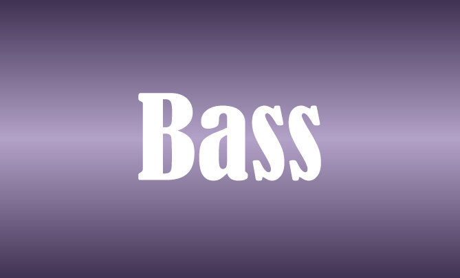 Bass Level Sponsorship 18SSPBS