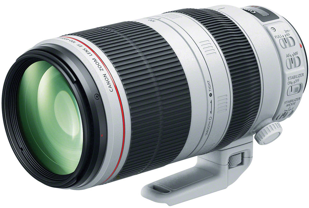 Canon EF 100-400mm f/4.5-5.6L IS 1147
