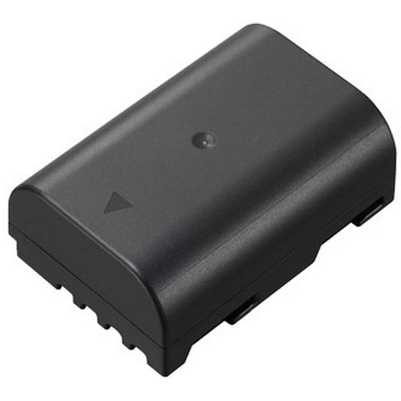 Panasonic DMW-BLF19E 1113