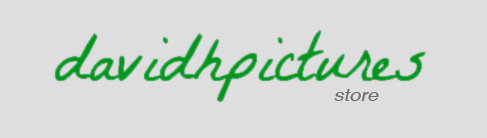 davidhpictures store