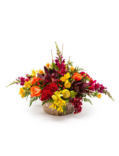 Rustic Elegance 030A52-6401