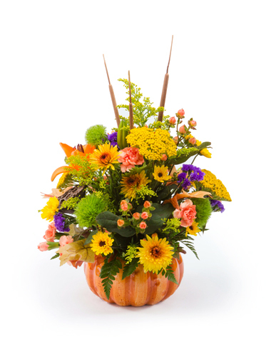 Pumpkin Patch Bouquet 030A31-6401