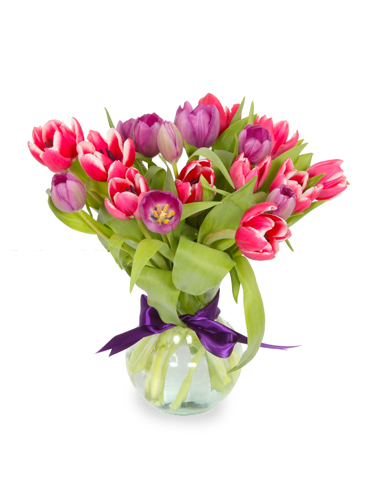 Spring Tulips 1 030A123-6401
