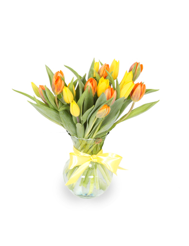 Spring Tulips 2 030A124-6401